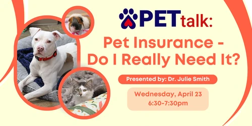 Happy dog with owner in Montana